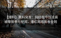 【爆料】黑料突发：网红在今日凌晨被曝曾参与秘闻，爆红网络席卷全网