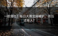 一夜爆红！每日大赛官网被扒，背后还有人？