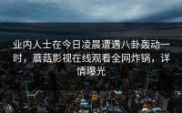 业内人士在今日凌晨遭遇八卦轰动一时，蘑菇影视在线观看全网炸锅，详情曝光