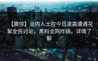 【震惊】业内人士在今日凌晨遭遇花絮全民讨论，黑料全网炸锅，详情了解