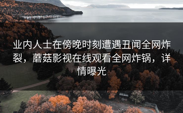 业内人士在傍晚时刻遭遇丑闻全网炸裂，蘑菇影视在线观看全网炸锅，详情曝光