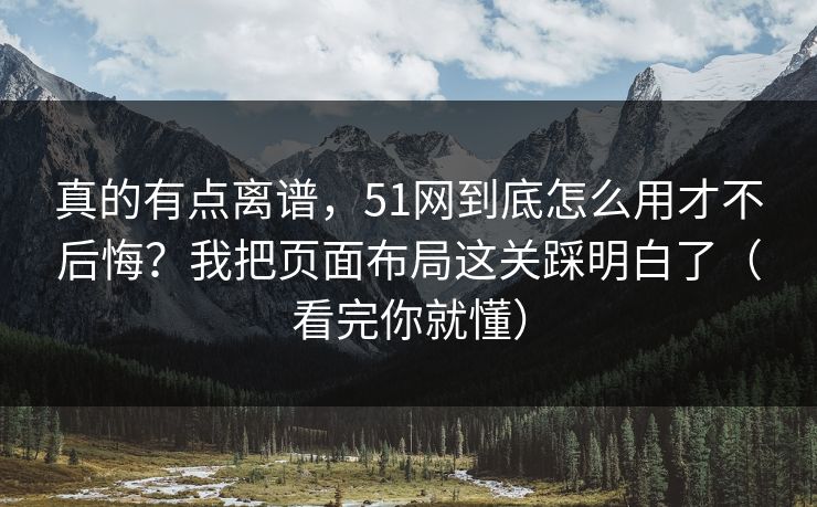 真的有点离谱，51网到底怎么用才不后悔？我把页面布局这关踩明白了（看完你就懂）